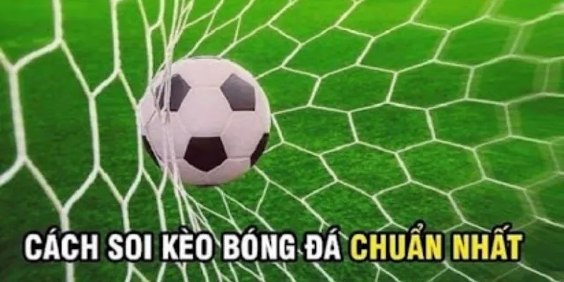 Soi Kèo Bóng Đá: Cẩm Nang Dành Cho Người Yêu Thích Thể Thao